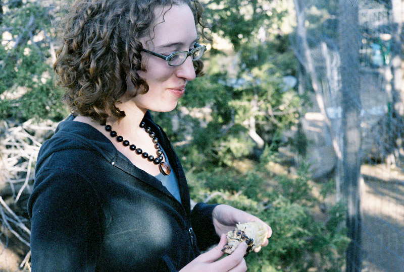 Photos